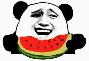 西安吃瓜群众免费吃瓜吗,免费瓜果盛宴,你来了吗? 第2张 西安吃瓜群众免费吃瓜吗,免费瓜果盛宴,你来了吗? 第2张